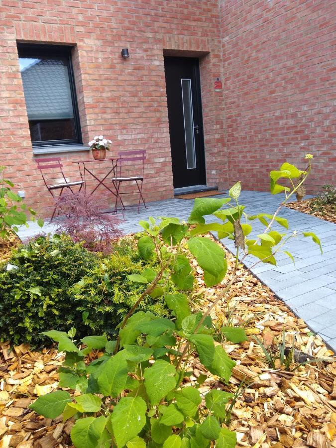 Les Agapanthes Bed & Breakfast Camphin-en-Pevele Екстериор снимка